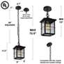 5_Bioeasdera 11 1/2" High Frosted Black Outdoor Hanging Light more views