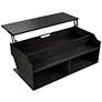 Birch 44 1/2" Wide Reclaimed Black Oak Lift-Top Coffee Table