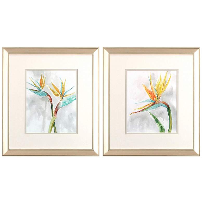 Image 1 Bird of Paradise 15"W x 17"H Framed Art Set of 2