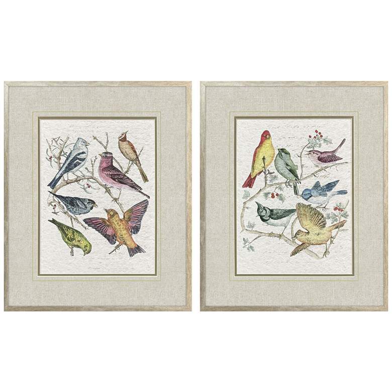 Image 1 Bird Variety 19"W x 23"H Traditional Framed Art Set of 2