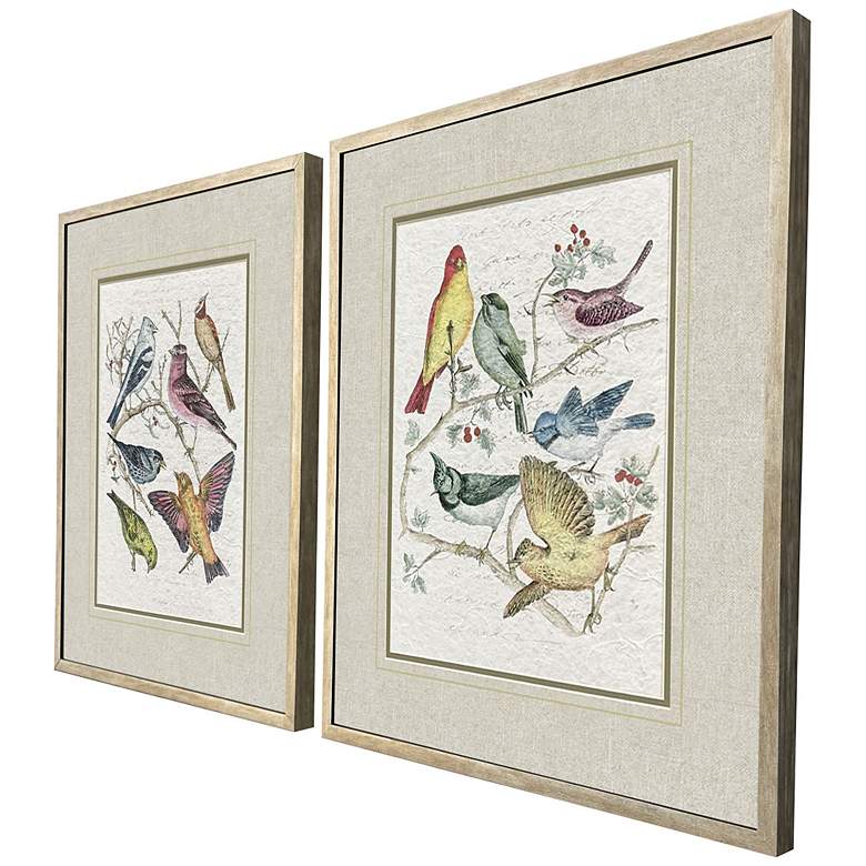 Image 2 Bird Variety 19"W x 23"H Traditional Framed Art Set of 2 more views