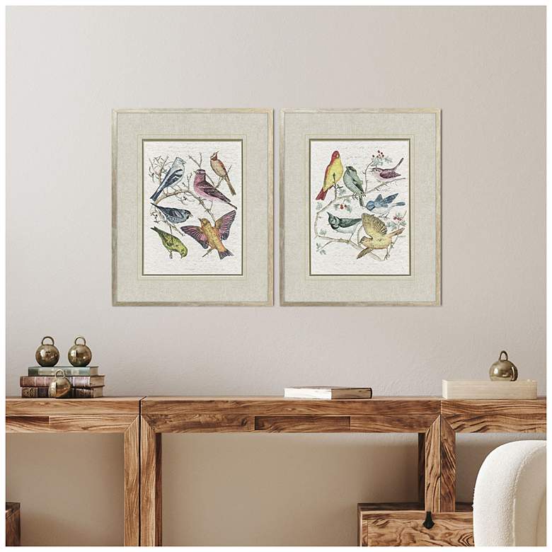 Image 4 Bird Variety 19"W x 23"H Traditional Framed Art Set of 2 more views