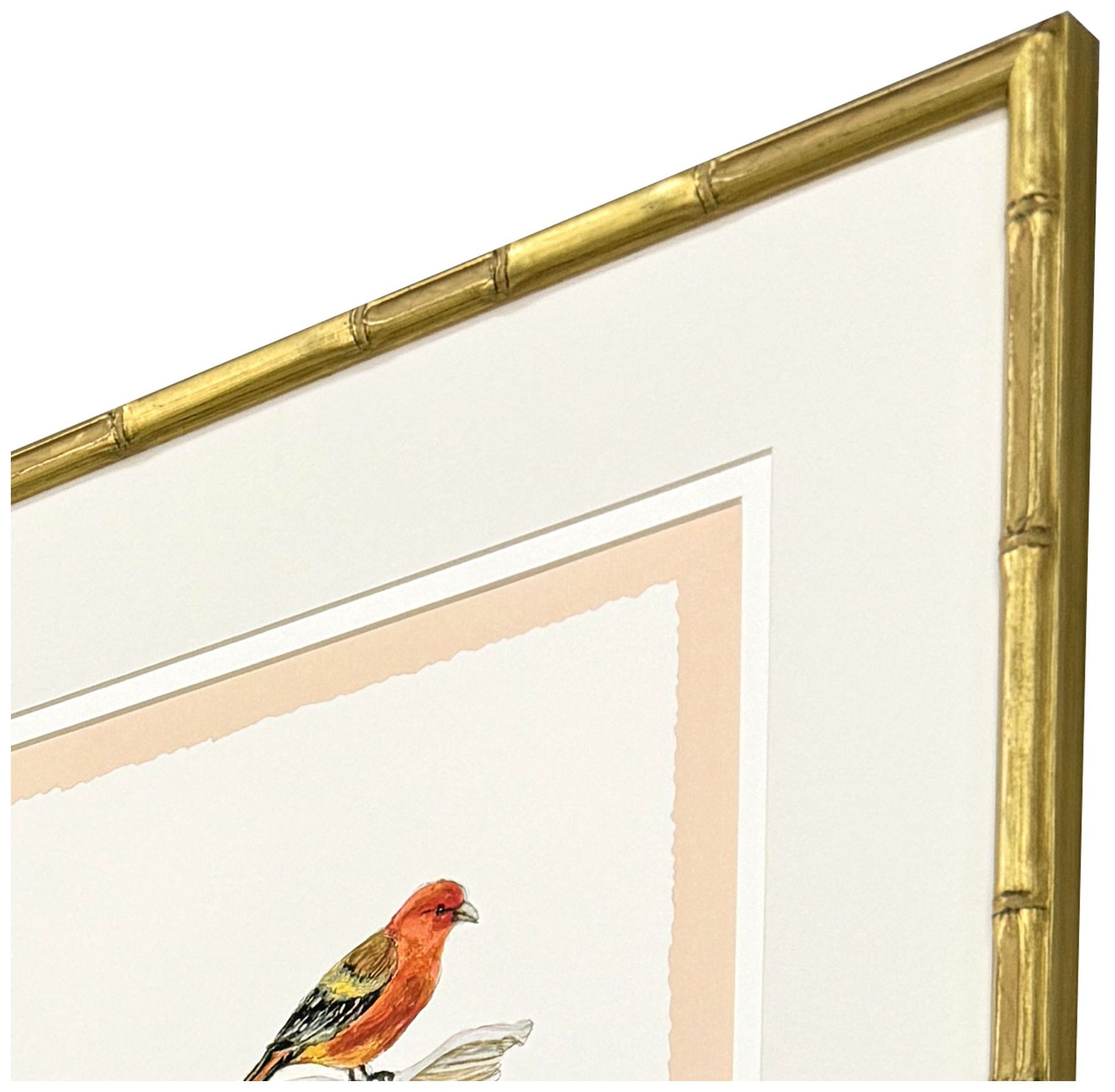 Image 3 Bird with Shell 19"W x 22"H Framed Art Set of 4 more views