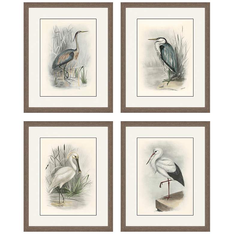 Image 2 Birds 22" High 4-Piece Framed Giclee Wall Art Set
