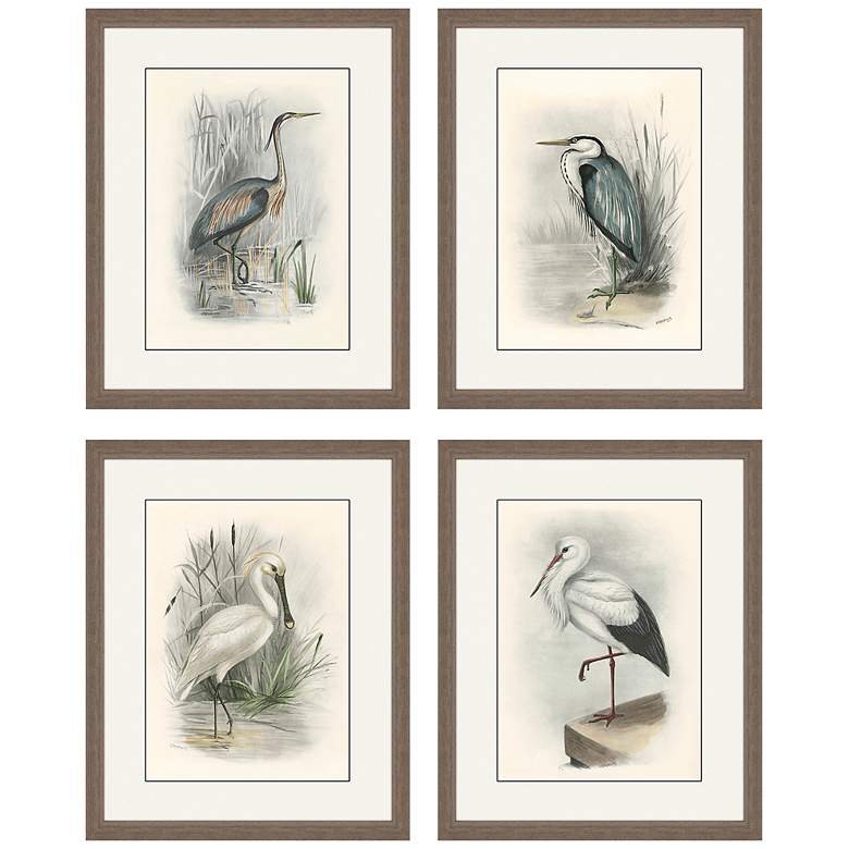 Image 2 Birds 22 inch High 4-Piece Framed Giclee Wall Art Set