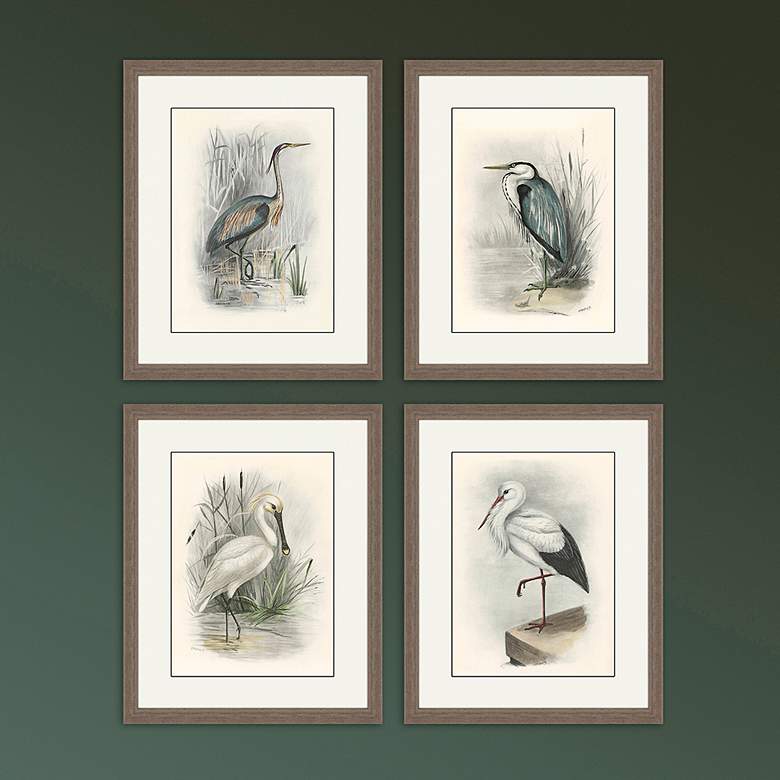 Image 1 Birds 22" High 4-Piece Framed Giclee Wall Art Set