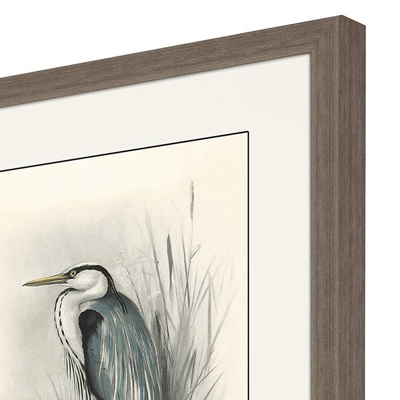 Image 3 Birds 22" High 4-Piece Framed Giclee Wall Art Set more views