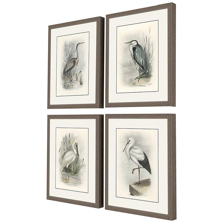 Image 4 Birds 22" High 4-Piece Framed Giclee Wall Art Set more views