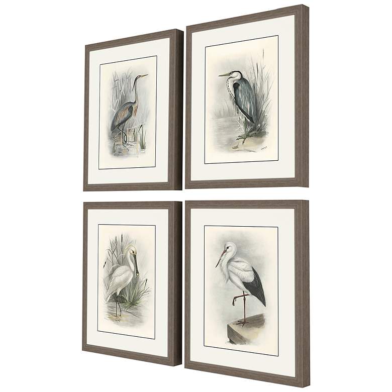 Image 4 Birds 22 inch High 4-Piece Framed Giclee Wall Art Set more views