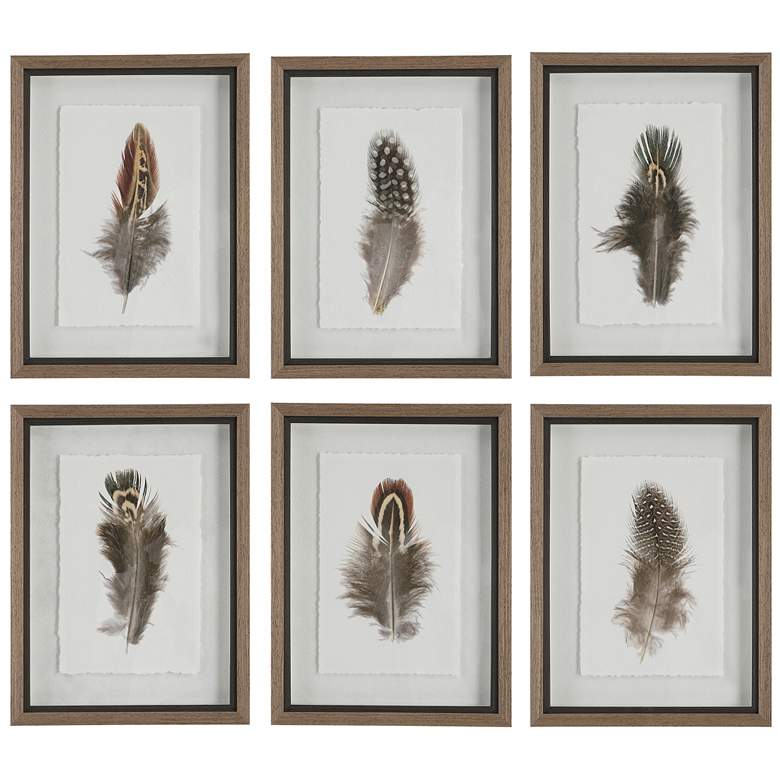 Image 1 Birds of a Feather 20"H 6-Piece Printed Framed Wall Art Set