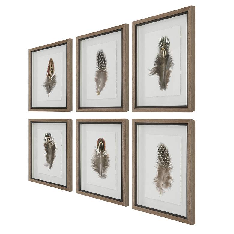 Image 7 Birds of a Feather 20"H 6-Piece Printed Framed Wall Art Set more views