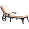 Biscayne Outdoor Taupe and Black Chaise Lounge Chair