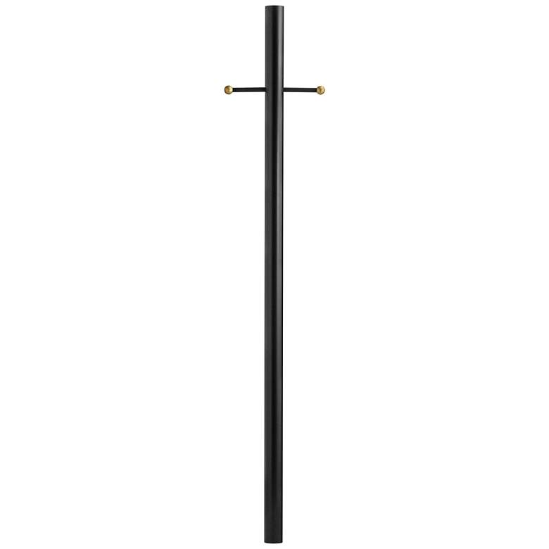 Image 1 Black 84 inch Direct Burial Post with Ladder Rest and Photocell