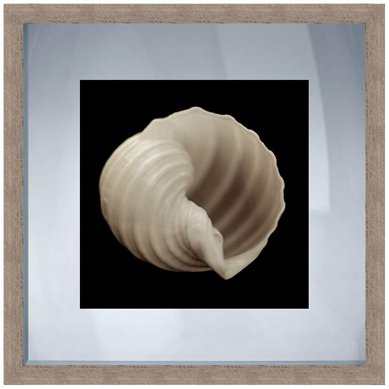 Image 1 Black and White Shell II 20 inch Square Giclee Wall Art
