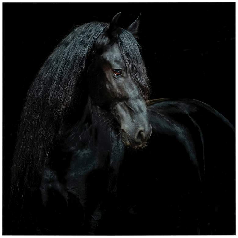 Image 2 Black Equine Attraction 38" Square Printed Glass Wall Art
