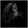 2_Black Equine Attraction 38" Square Printed Glass Wall Art