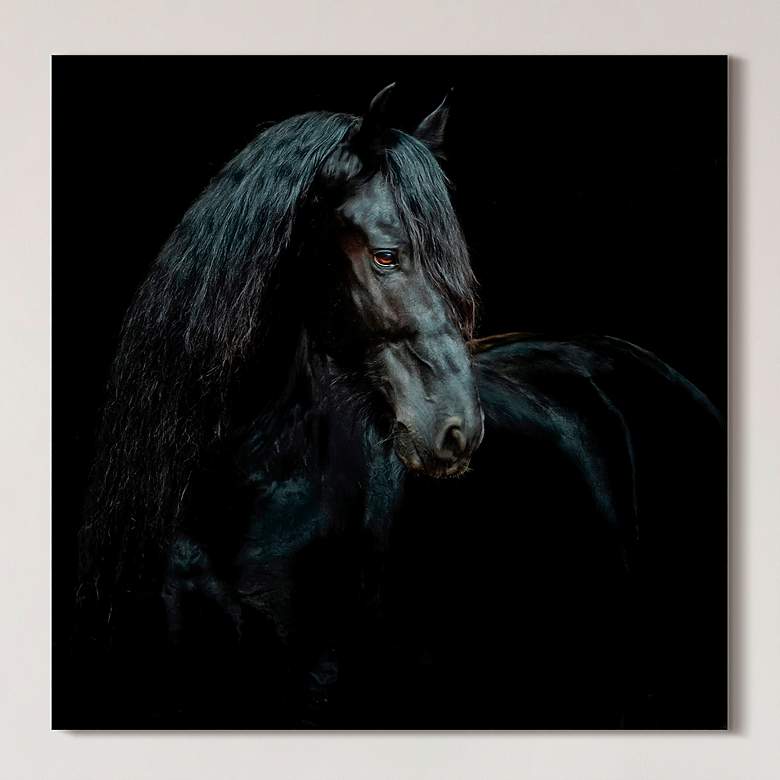 Image 1 Black Equine Attraction 38" Square Printed Glass Wall Art