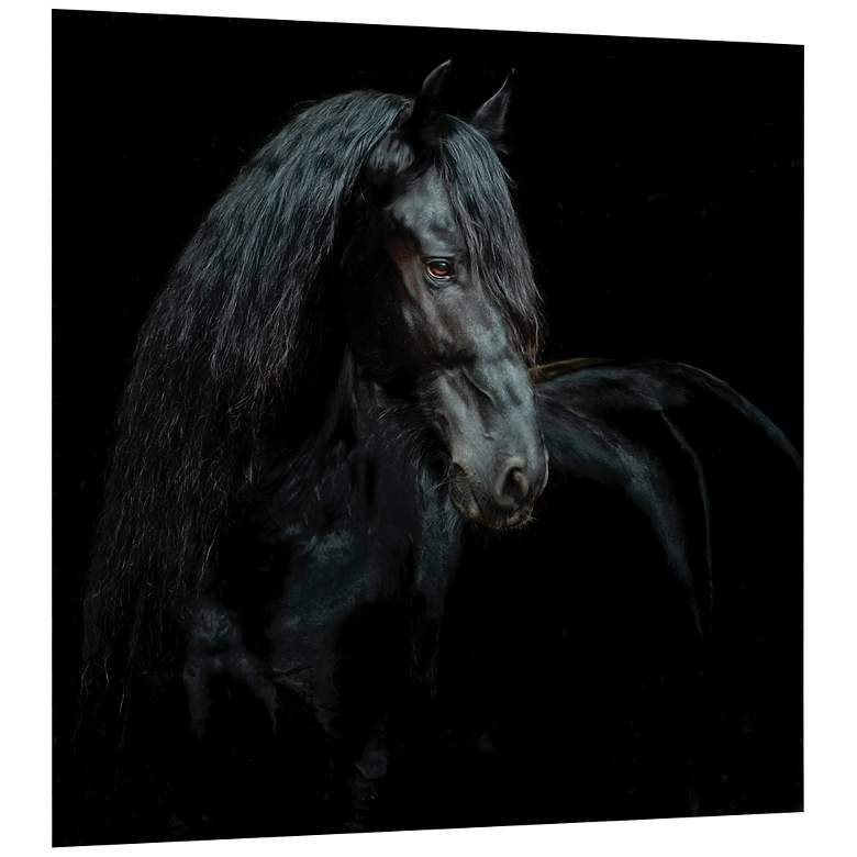 Image 3 Black Equine Attraction 38" Square Printed Glass Wall Art more views