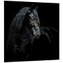 3_Black Equine Attraction 38" Square Printed Glass Wall Art more views