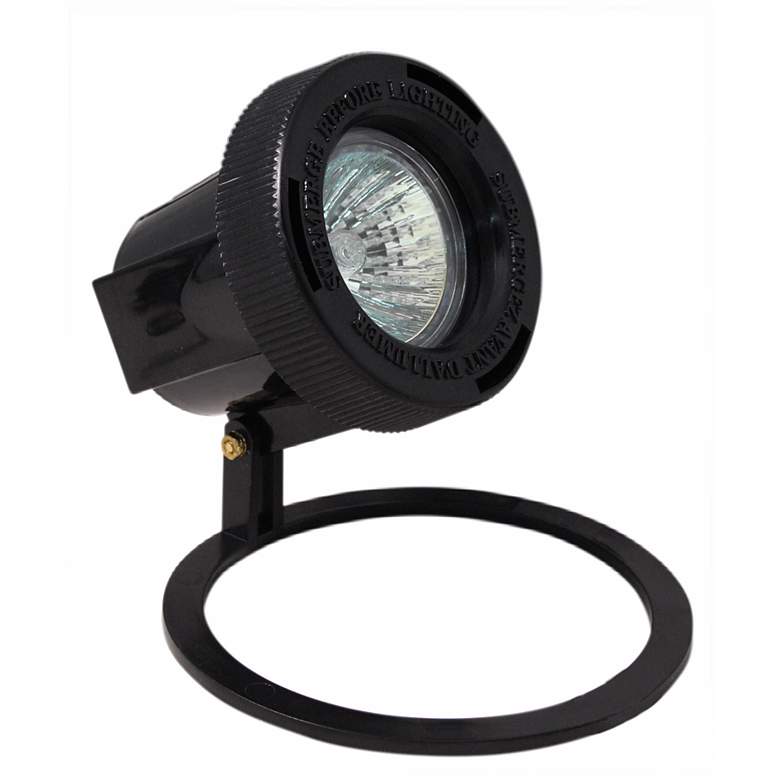 Image 1 Black Finish Submersible Outdoor Well Light