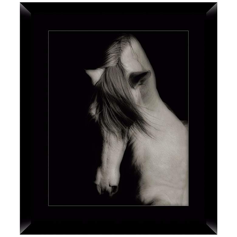 Image 1 Black Horse 26 1/2 inch High Framed Photo Wall Art