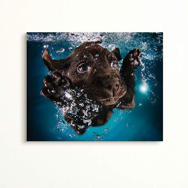 Image 1 Black Lab 23 1/4 inch Wide Free Floating Glass Graphic Wall Art