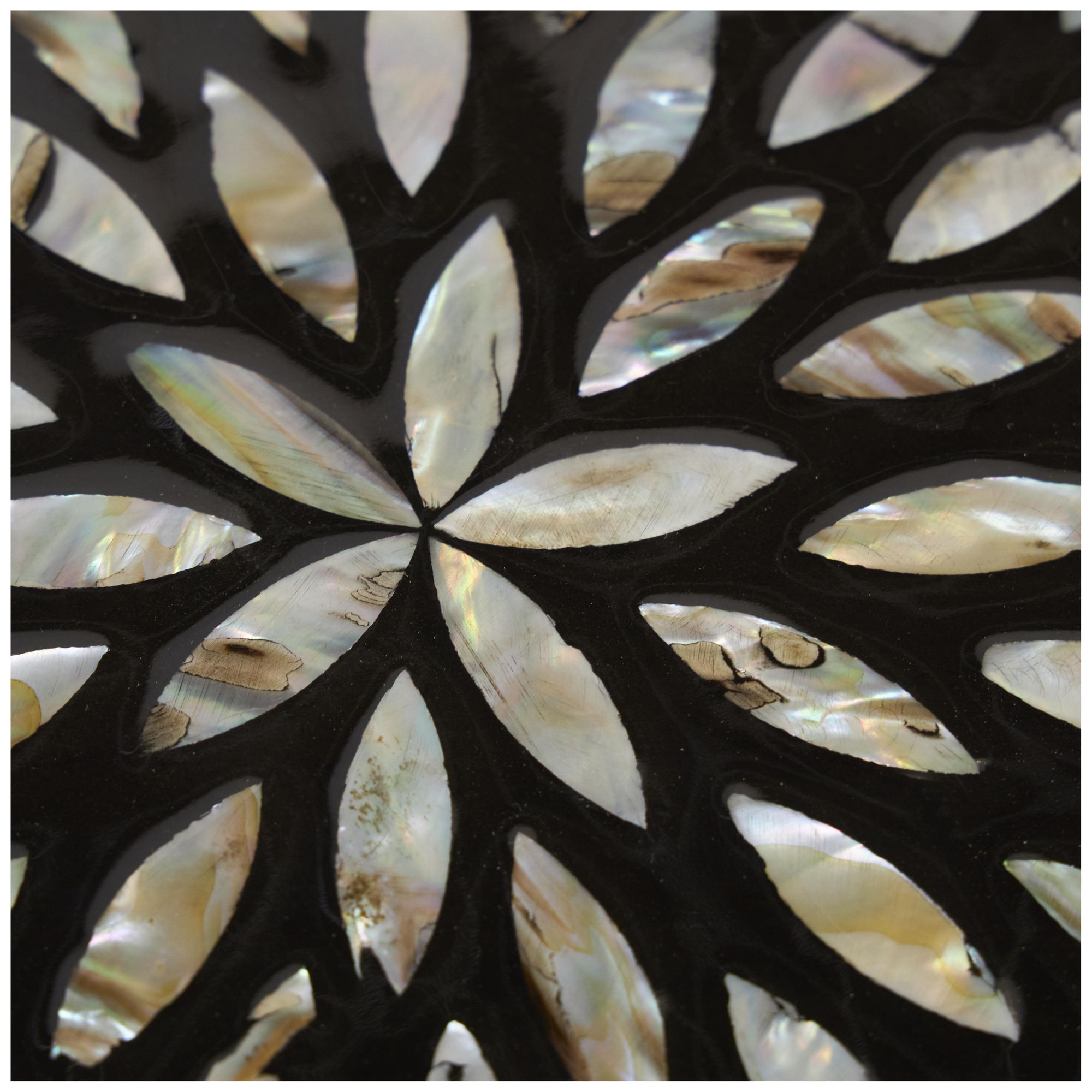 Image 3 Black Mother of Pearl Shell Coastal Box, S/2 12", 8"W more views