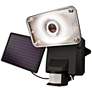 Black Motion-Activated Solar LED Security Light