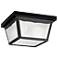 Black Outdoor Ceiling 2Lt