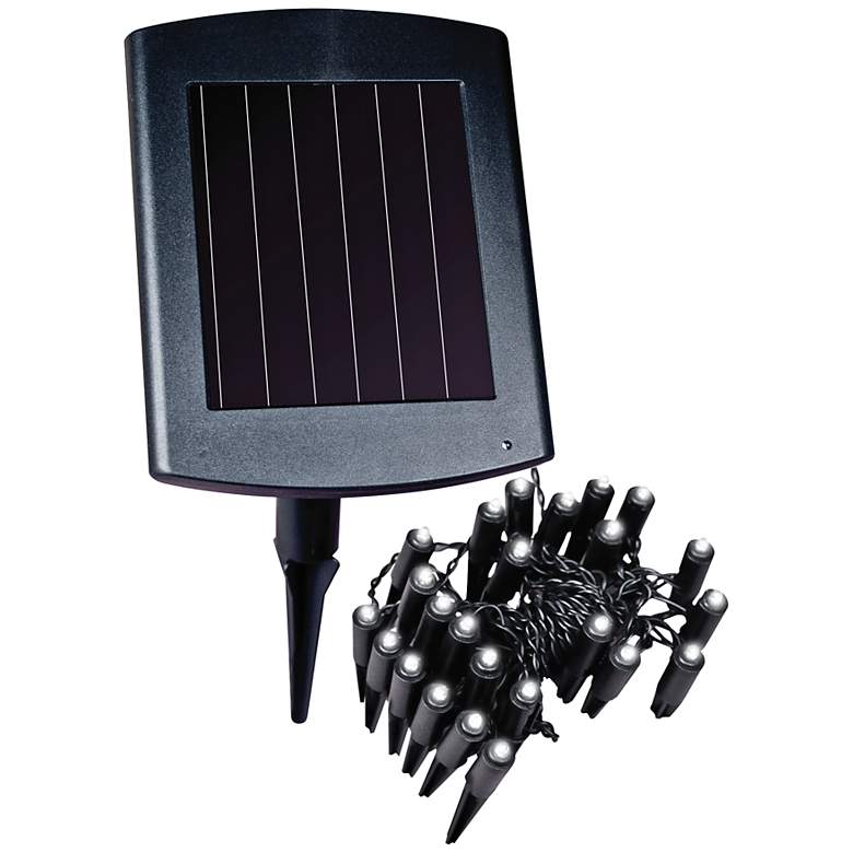 Image 1 Black Outdoor Solar Powered LED Plant or Border Lights