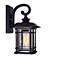 Blackburn 13" High Black Outdoor Lantern Wall Light