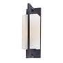 Blade Collection 15" High Outdoor Wall Light