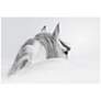 2_Blanco 48" Wide Reverse Painted Glass Wall Art