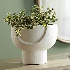 Image1 of Bletheny White Ceramic Pedestal Decorative Bowl