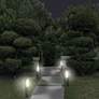 Blitz 30" High Solar Powered LED Garden Path Light