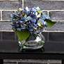 4_Blooming Hydrangea with Vase more views