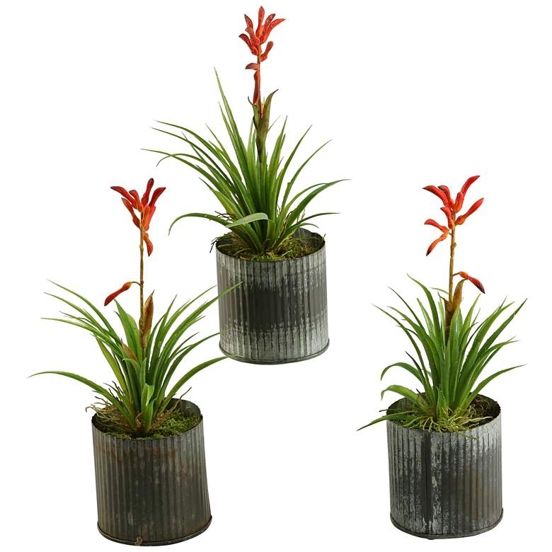 Image 1 Blooming Succulents 10 1/2 inchH Faux Plants in Vases Set of 3