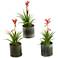 Blooming Succulents 10 1/2"H Faux Plants in Vases Set of 3