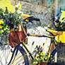 Blue &amp; Yellow Bike 40"W Indoor-Outdoor Giclee Wall Art