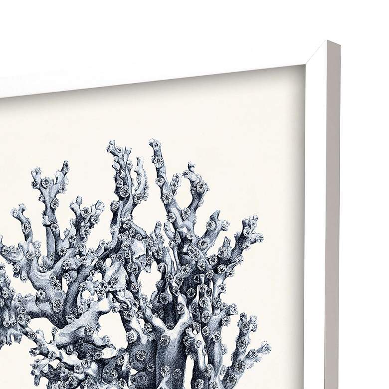 Image 3 Blue Antique Coral 22"H 4-Piece Giclee Framed Wall Art Set more views