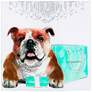 2_Blue Box 23 1/4" Square Free Floating Glass Graphic Wall Art