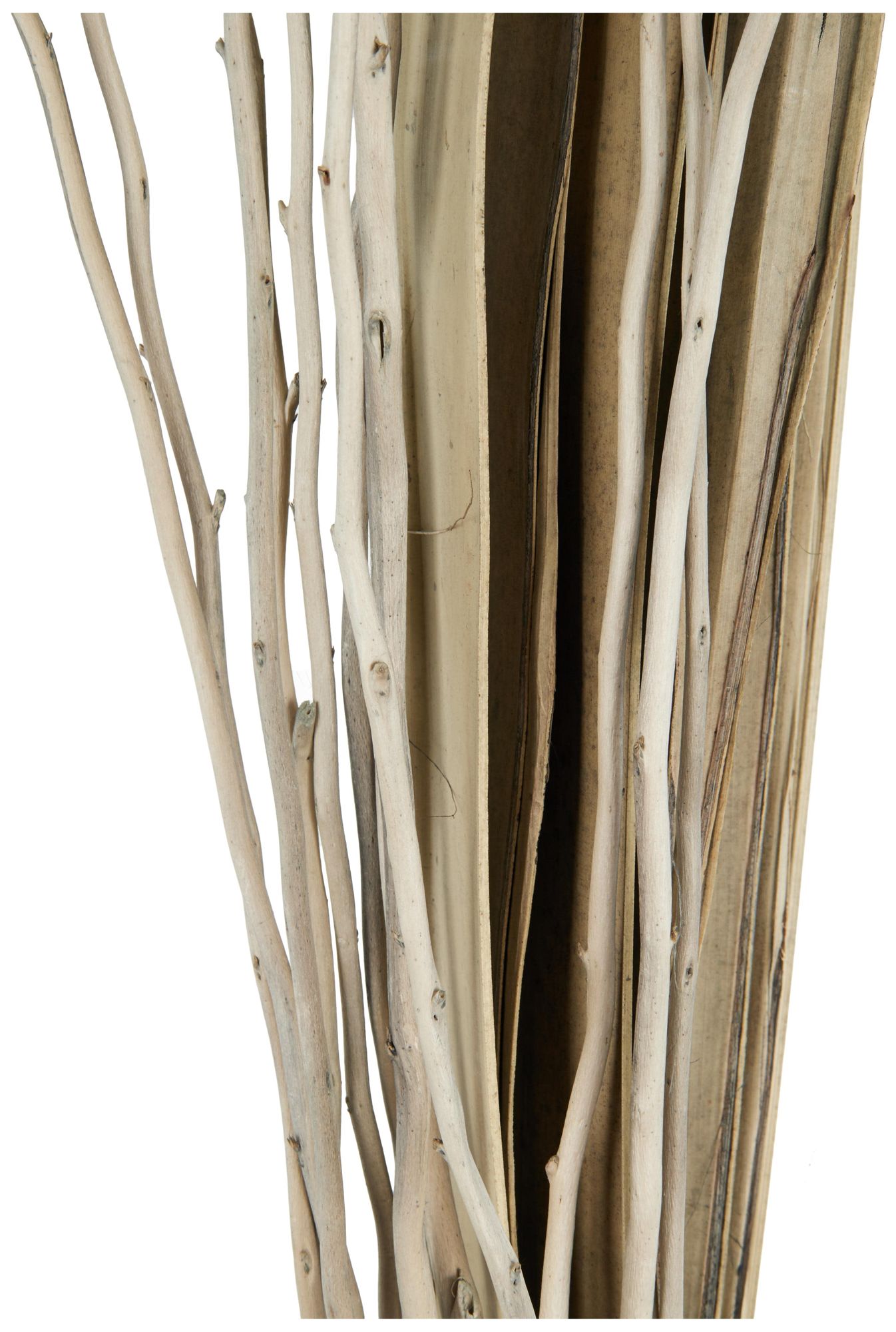 Image 4 Blue Dried Plant French Country Natural Foliage, 12" x 12" x 50" more views