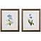 Blue Lively Botanical 9"W x 11"H Framed Art Set of 2
