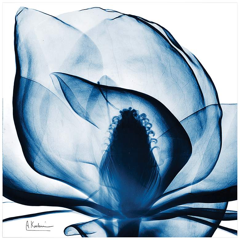 Image 2 Blue Magnolia X-Ray 24 inch Square Printed Glass Wall Art