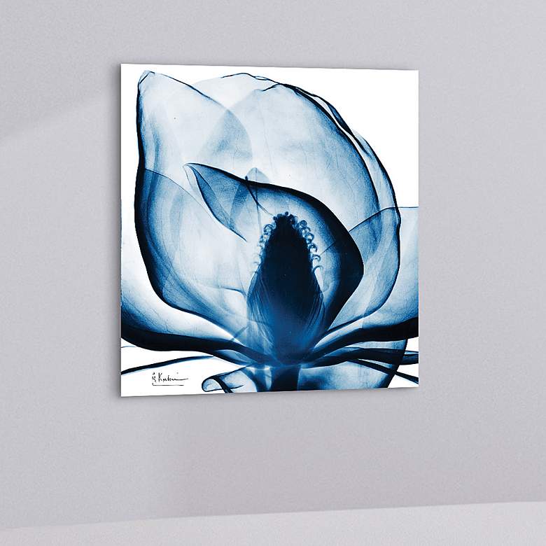 Image 1 Blue Magnolia X-Ray 24 inch Square Printed Glass Wall Art