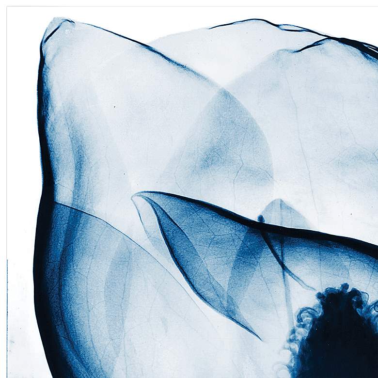 Image 3 Blue Magnolia X-Ray 24 inch Square Printed Glass Wall Art more views