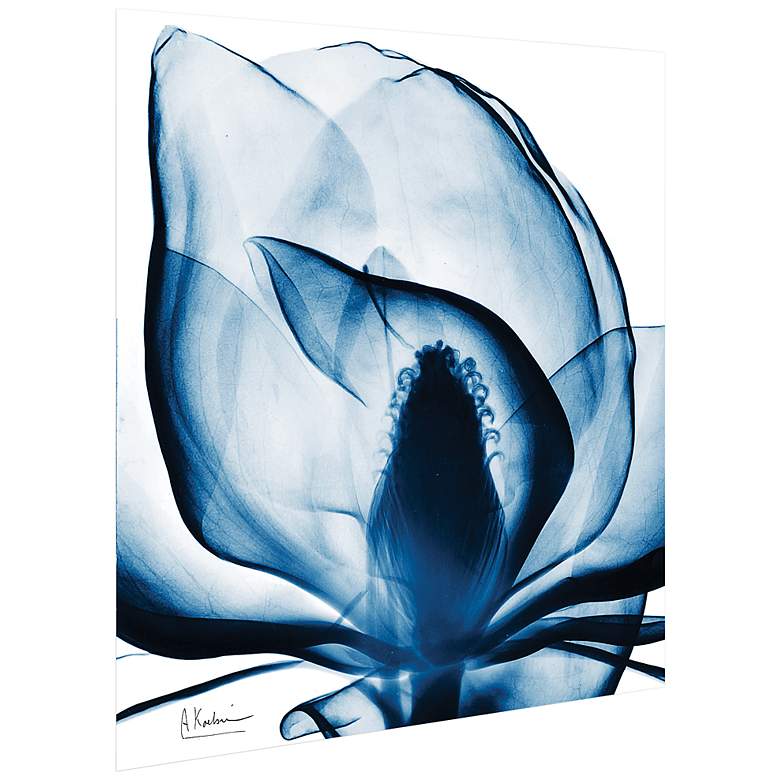 Image 4 Blue Magnolia X-Ray 24 inch Square Printed Glass Wall Art more views