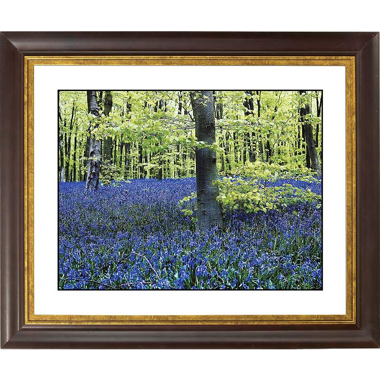 Image 1 Blue Poppies Gold Bronze Frame Giclee 20 inch Wide Wall Art