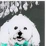 3_Blue Ribbon Bichon Frise Dog 20" Square Wall Art more views
