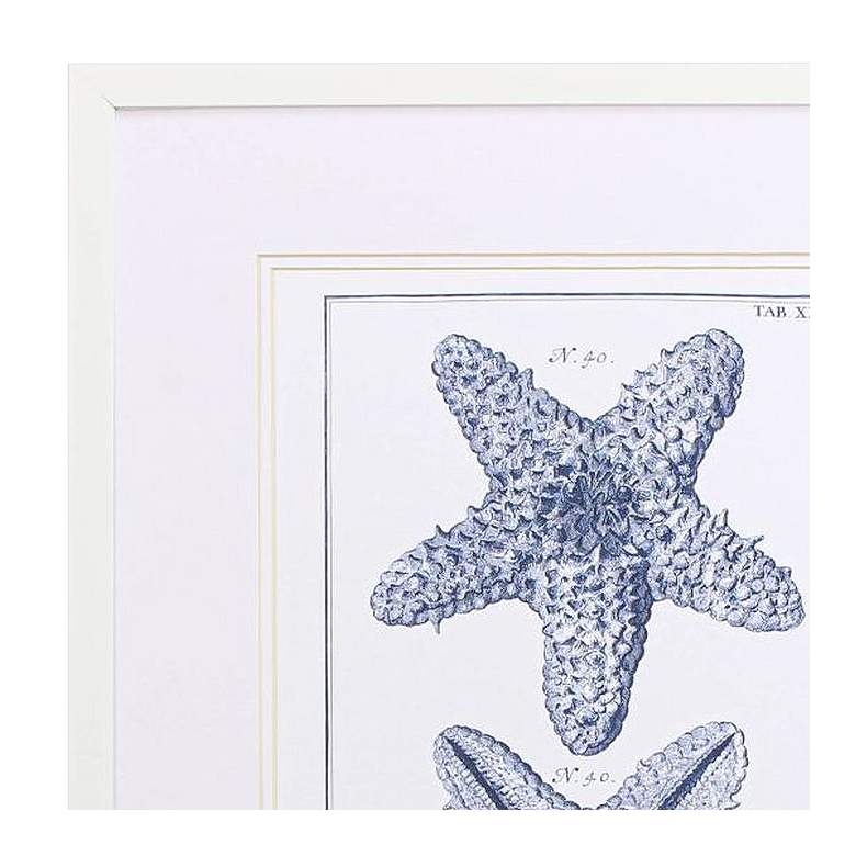 Image 4 Blue Sea Stars B 25" High 2-Piece Framed Wall Art Set more views